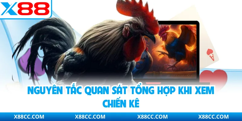 Mẹo Chọn Gà Chiến - Bí Quyết Nhận Diện Chiến Kê Chuẩn Xác 4 Nguyên tắc quan sát tổng hợp khi xem chiến kê